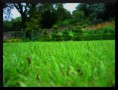 /album/fotogaleria/irsko-trava-jpg1/